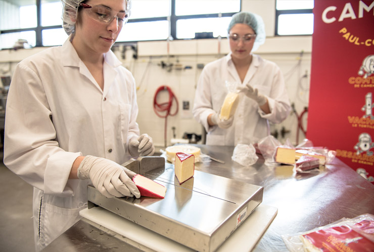 Partnership Research Chairs