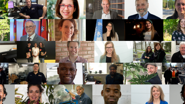 Mosaïque de portait