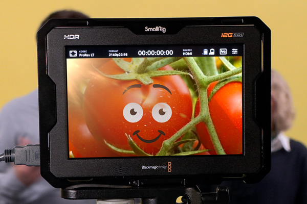 tomate avec un visage souriant