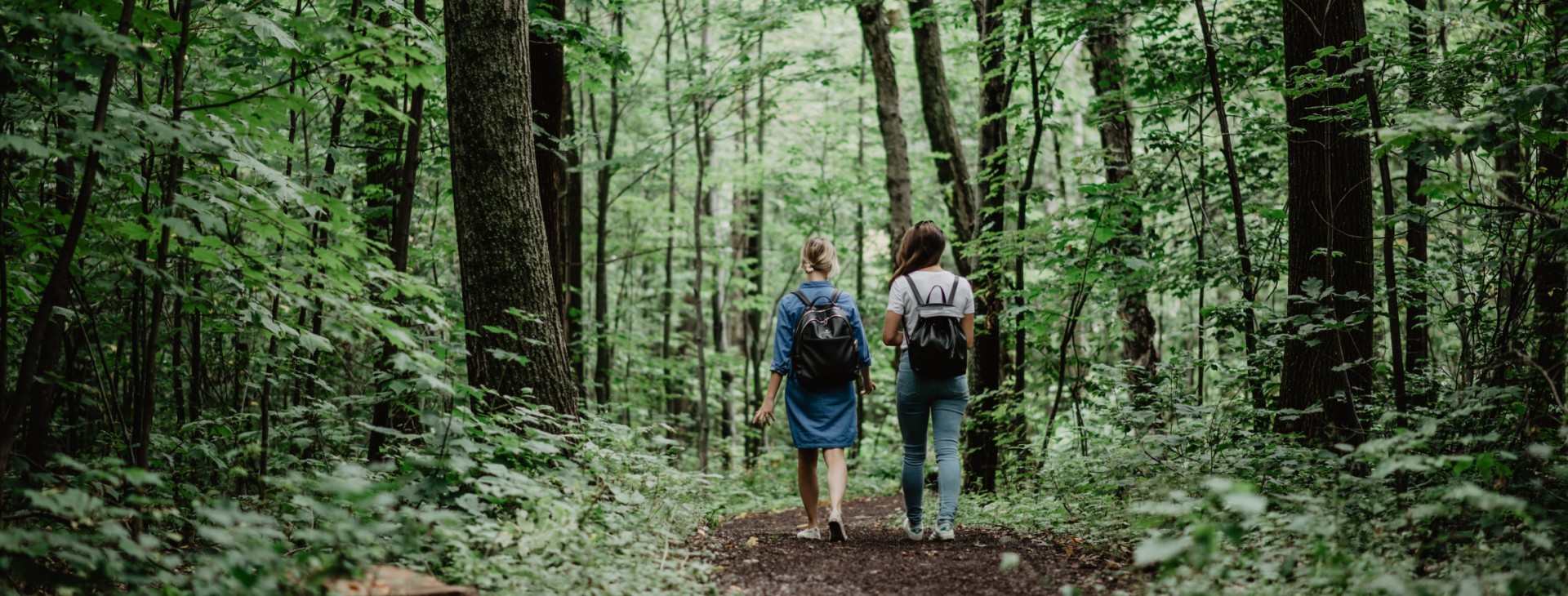 étudiantes marchant dans la forêt