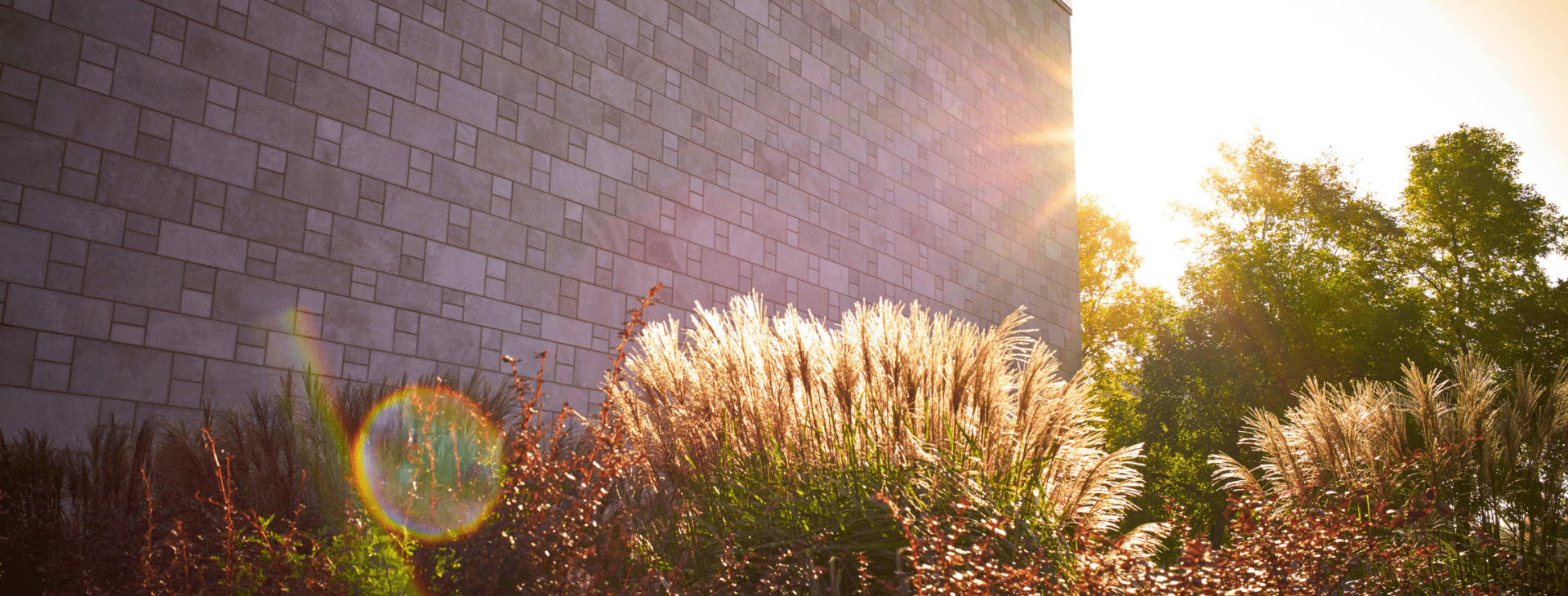 coucher de soleil campus ULaval