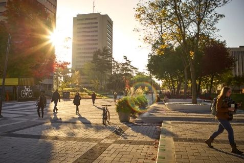 Campus de l'Université Laval en été