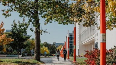 Photo d'une allée de l'Université Laval